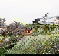 A Must At Coonawarra - eAccommodation