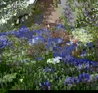 Yallambee - eAccommodation