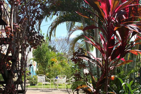Asylum Cairns Hostel - eAccommodation 3