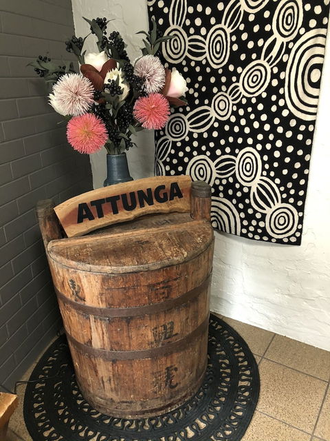 Attunga Alpine Lodge And Apartments - eAccommodation 0