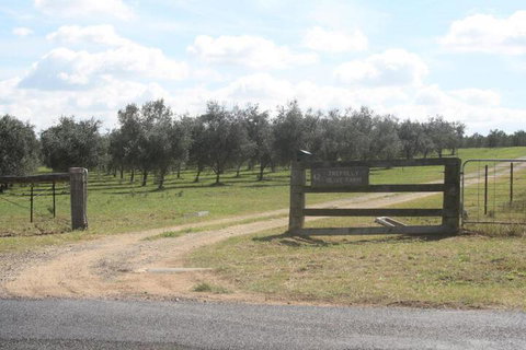 Trefolly Olive Cottage - eAccommodation 2