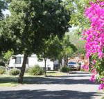 BIG 4 Hay - eAccommodation