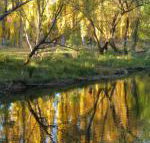 On The Banks - eAccommodation