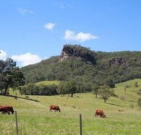 Rosevale House - eAccommodation