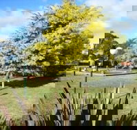 Bairnsdale Main Motel - eAccommodation