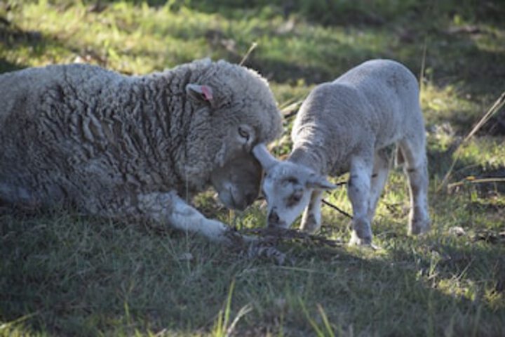 Boyland QLD eAccommodation