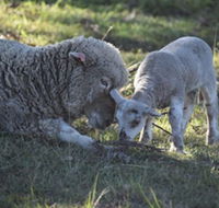 Clandulla Cottages - eAccommodation