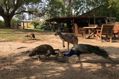 Clandulla Cottages - eAccommodation 3