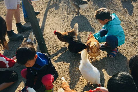 Clandulla Cottages - eAccommodation 5