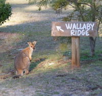 Wallaby Ridge Retreat - eAccommodation