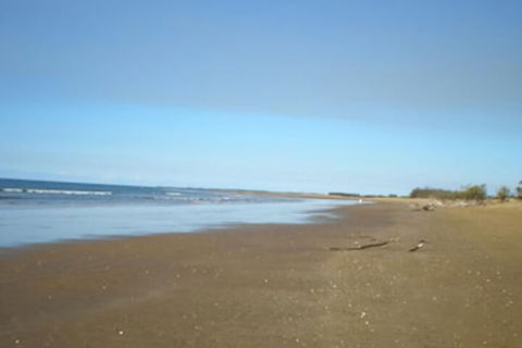 Moore Park Beach Motel - eAccommodation 0
