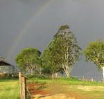 CBR Equine Cottage - eAccommodation