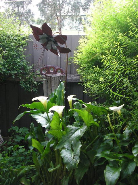 C & As Cottage - eAccommodation 2