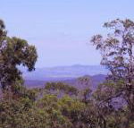 Ravensbourne Escape Cedar Lodge - eAccommodation