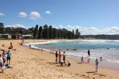 Avoca Beach Cape Cottage - eAccommodation 6