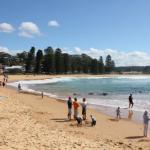 Avoca Beach Cape Cottage - eAccommodation 1