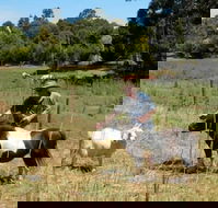 Country Cottages of Bridgetown - eAccommodation