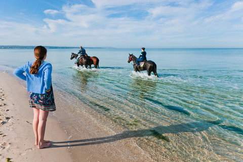 Sailaway Beach House - eAccommodation 6