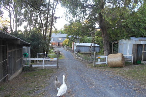 A Twist Of Willow - eAccommodation 1