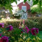 A Country Barn Retreat - eAccommodation 0