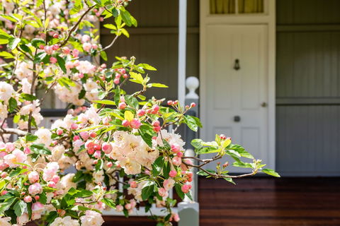 Apple Blossom Cottage - eAccommodation 0