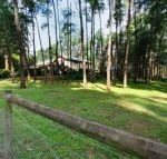 Fernglade on Menzies - eAccommodation