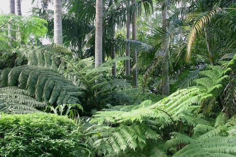 Amore Mt Tamborine - eAccommodation 1