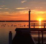 Bayview Boathouse - eAccommodation