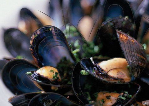 Peppermint Bay - Bar, Dining And Terrace - eAccommodation 6