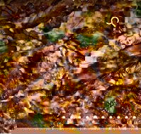 Pizza D'oh - eAccommodation