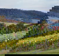 De Bortoli Winery  Restaurant - eAccommodation