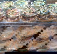 Red Fox Coffee Lounge