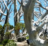 Alpine Eyre - eAccommodation