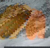 Chipp Inn - eAccommodation