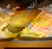 Finn  Co Cafe - eAccommodation