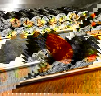 Freewave Sushi  Burgers - eAccommodation