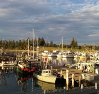 Horse  Camel - eAccommodation