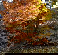 Stella Kitchen Chinese Take Away - eAccommodation