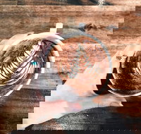 The Anchor Coffee House - eAccommodation