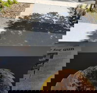 Queen of Tarts Toronto  Cessnock - eAccommodation