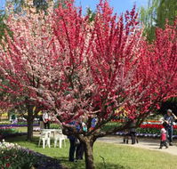 Mirchi Indian Cuisine - eAccommodation