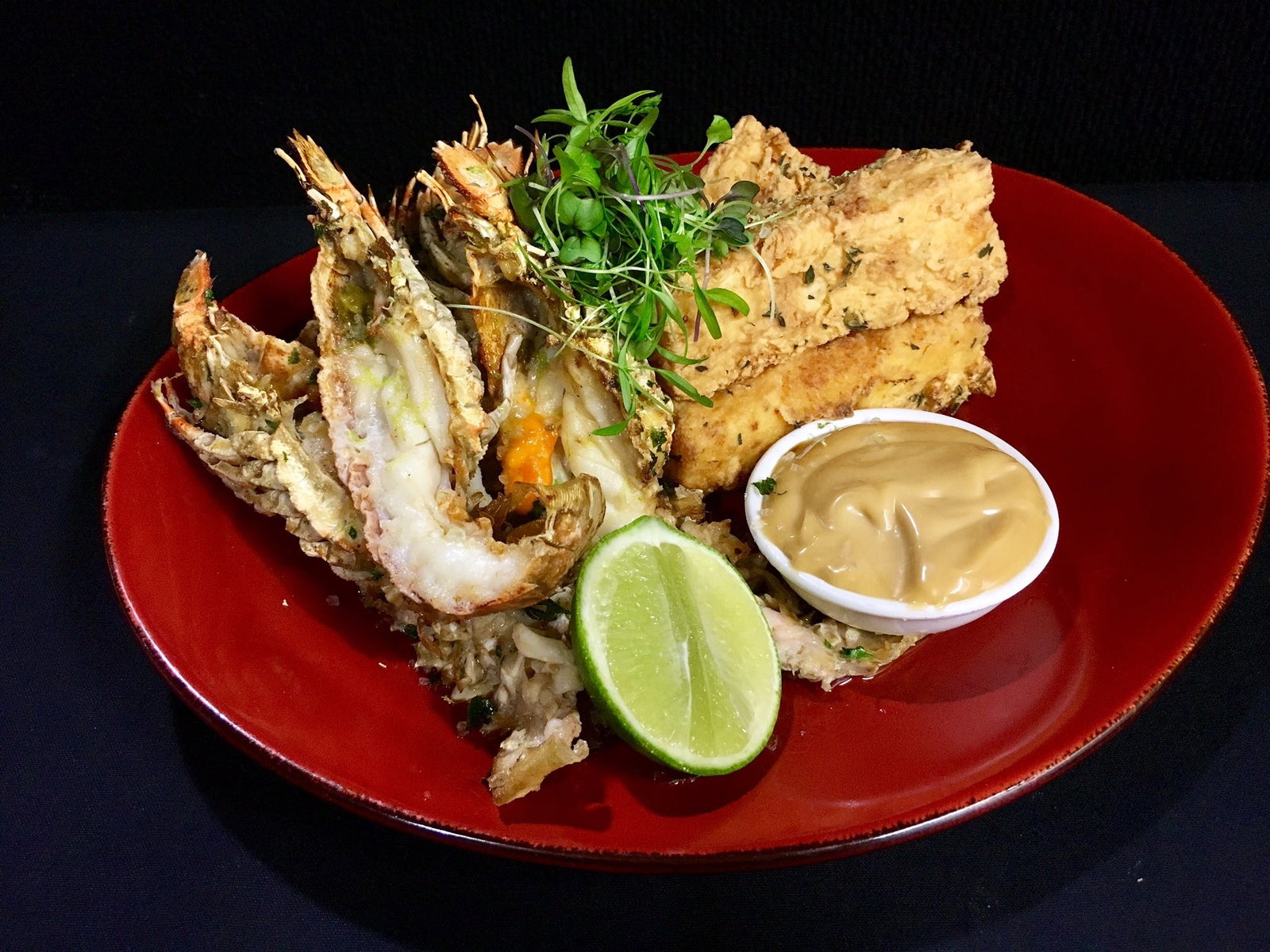 Coorparoo QLD eAccommodation