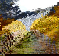 Prickly Moses Brewery - eAccommodation