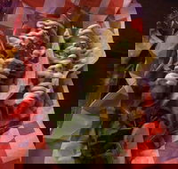 Cantina On Capri - eAccommodation