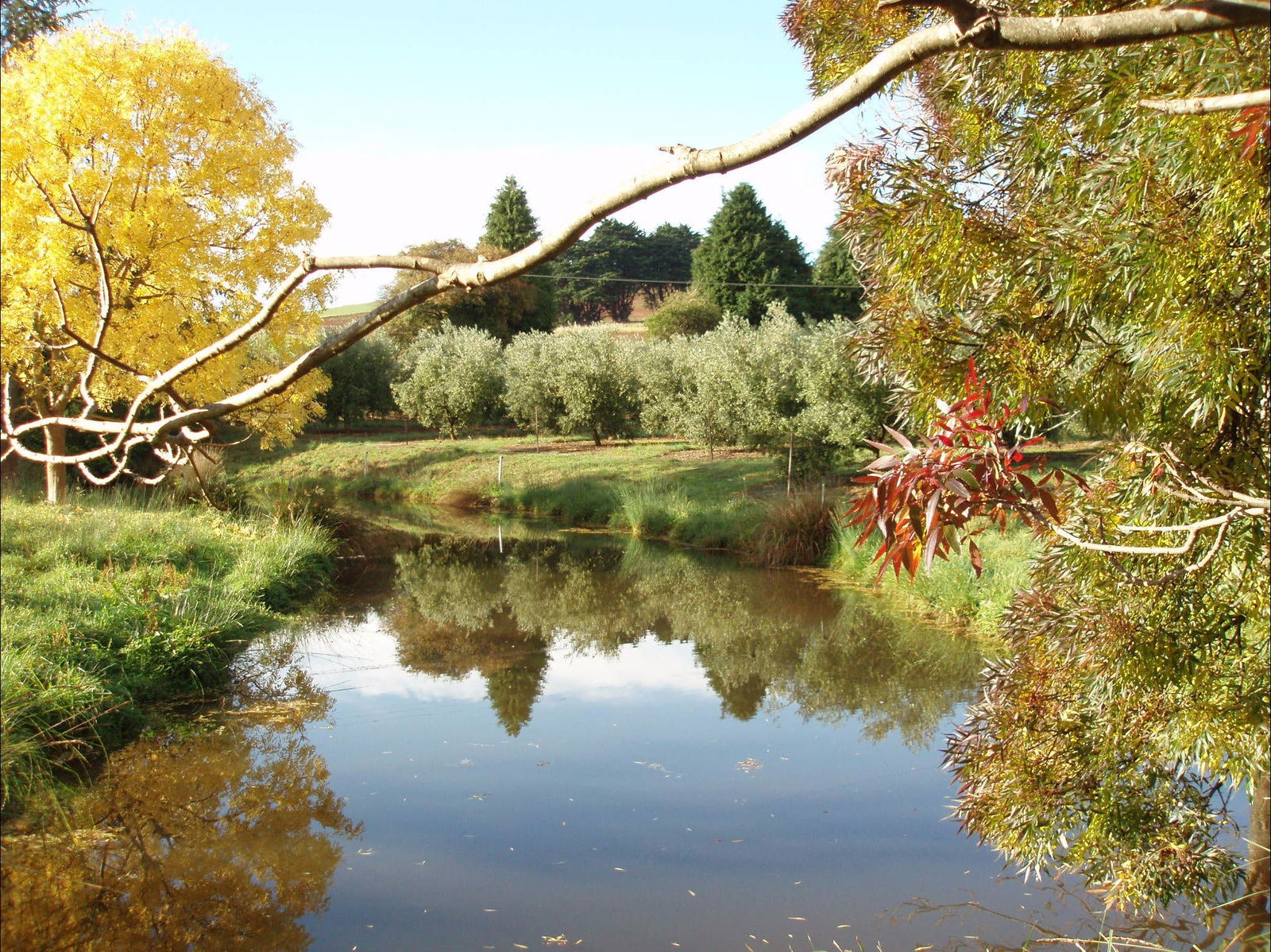 Loongana TAS eAccommodation