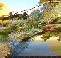 Cradle Coast Olives - eAccommodation