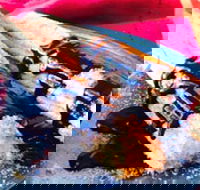 Donut King - Frankston - eAccommodation