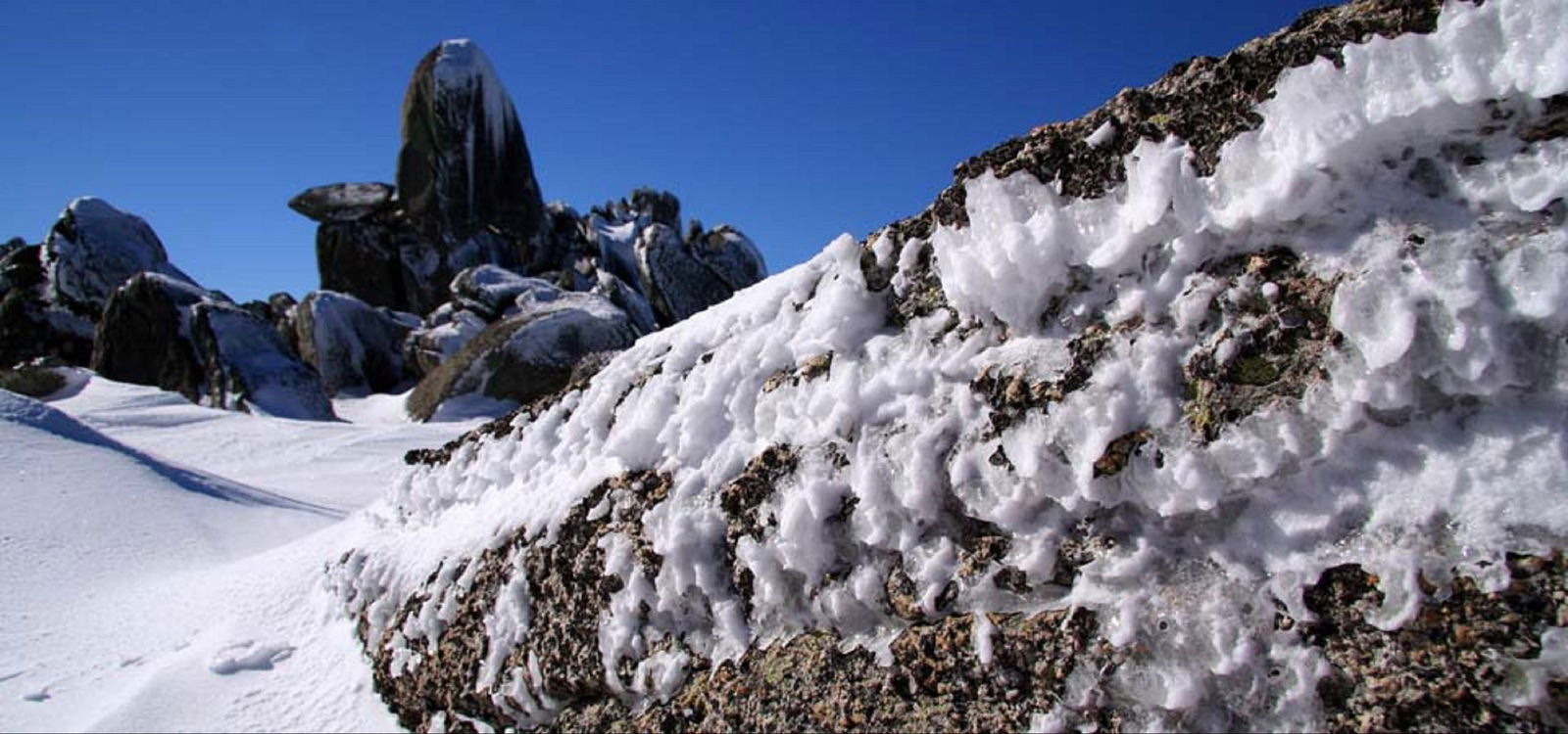 Grosses Plain NSW eAccommodation