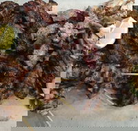 Pita Wrap It - eAccommodation