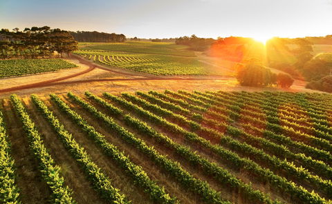 Leeuwin Estate - eAccommodation 1